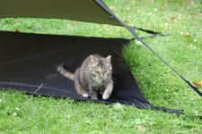 Zelt und Zeltboden